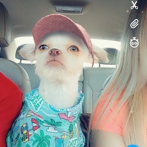 Meet your Posher, Monica